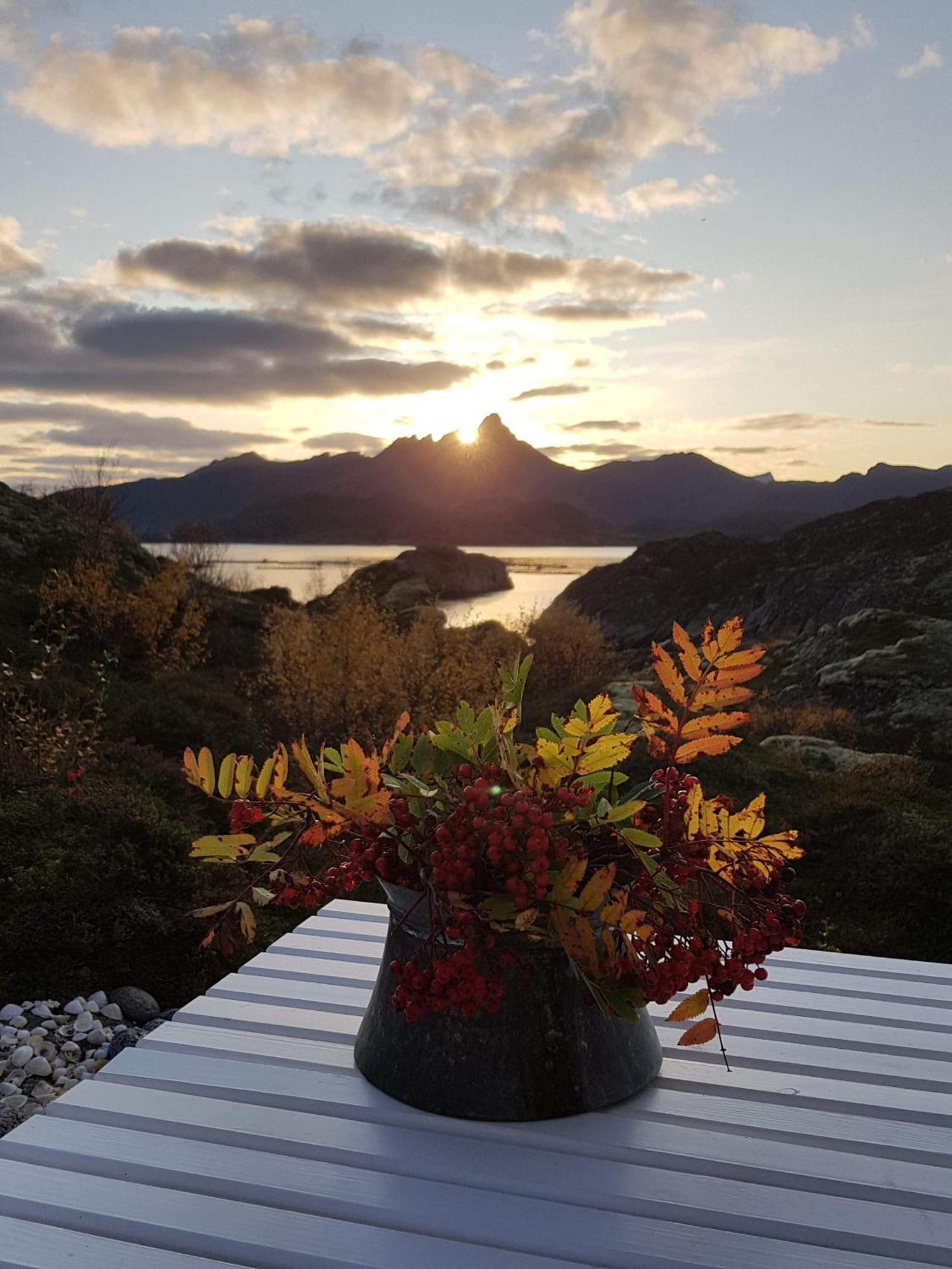 레크네스 Unique Private Cabin In Lofoten 빌라 외부 사진